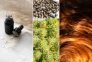 <p>🌿 <strong data-start="347" data-end="379">DIY Hair Growth &amp; Shine Mask</strong> 🌿&nbsp;</p>
<p data-start="413" data-end="607">Give your hair the love it deserves with this 100% natural, nourishing oil blend. Perfect for dry ends, dull strands and anyone looking to support hair growth and strength from root to tip. ✨</p>
<h4 data-start="609" data-end="629">🌱 Ingredients:</h4>
<ul data-start="630" data-end="903">
<li data-start="630" data-end="684">
<p data-start="632" data-end="684">2 tbsp <strong data-start="639" data-end="653">castor oil</strong> (nourishing &amp; strengthening)</p>
</li>
<li data-start="685" data-end="728">
<p data-start="687" data-end="728">1 tbsp <strong data-start="694" data-end="709">coconut oil</strong> (deep hydration)</p>
</li>
<li data-start="729" data-end="793">
<p data-start="731" data-end="793">1 tbsp <strong data-start="738" data-end="751">argan oil</strong> or <strong data-start="755" data-end="768">olive oil</strong> (for softness &amp; shine)</p>
</li>
<li data-start="794" data-end="903">
<p data-start="796" data-end="903"><em data-start="796" data-end="808">(optional)</em> 2 drops of <strong data-start="820" data-end="834">peppermint</strong> or <strong data-start="838" data-end="864">rosemary essential oil</strong> (stimulates circulation &amp; hair growth)</p>
</li>
</ul>
<hr data-start="905" data-end="908">
<h4 data-start="910" data-end="932">💆&zwj;♀️ How to Use:</h4>
<ol data-start="933" data-end="1292">
<li data-start="933" data-end="974">
<p data-start="936" data-end="974">Mix all ingredients in a small bowl.</p>
</li>
<li data-start="975" data-end="1035">
<p data-start="978" data-end="1035">Apply to your scalp using your fingertips or a dropper.</p>
</li>
<li data-start="1036" data-end="1097">
<p data-start="1039" data-end="1097">Gently massage for 5&ndash;10 minutes to stimulate blood flow.</p>
</li>
<li data-start="1098" data-end="1156">
<p data-start="1101" data-end="1156">Distribute the rest through the lengths of your hair.</p>
</li>
<li data-start="1157" data-end="1225">
<p data-start="1160" data-end="1225">Cover with a shower cap and leave on for 30 minutes to 2 hours.</p>
</li>
<li data-start="1226" data-end="1292">
<p data-start="1229" data-end="1292">Wash with shampoo (you may need to shampoo twice).</p>
</li>
</ol>
<p data-start="1294" data-end="1344">Use once a week for soft, glossy, stronger hair 🌸</p>
<p data-start="1346" data-end="1409">🫶 <em data-start="1349" data-end="1409">Pure care, naturally inspired &mdash; from Les Couleurs de </em><em>marrakech</em></p>
