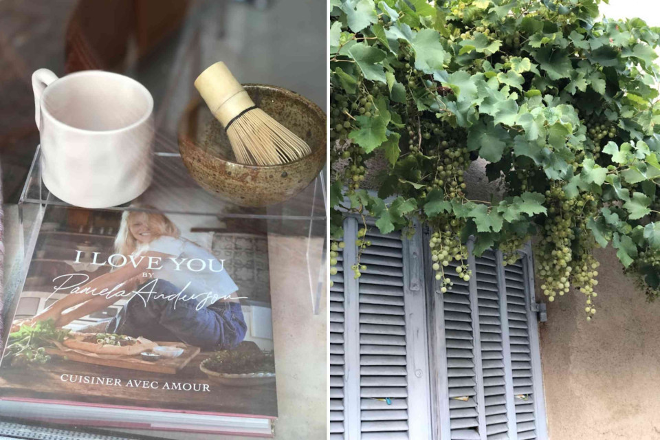 <p data-start="214" data-end="263"><strong data-start="214" data-end="263">Cooking with Love&nbsp;</strong></p>
<p data-start="265" data-end="501">Accompanied by <em data-start="280" data-end="299">Pamela Anderson's</em> debut vegan cookbook <em data-start="321" data-end="357">I Love You: Recipes from the Heart</em>, where wholesome, plant-based dishes are shared with romance and warmth. I&rsquo;m inspired by a recipe that celebrates both comfort and bold flavor.</p>
<p data-start="503" data-end="889">One standout is her <strong data-start="523" data-end="566">Guinness-spiced loaf with caramel sauce</strong>&mdash;a deeply nostalgic and rich dessert with earthy spice and indulgent sweetness.&nbsp;It feels fitting to pair that cozy treat with an image of a sun-dappled grapevine in Plan-de-la-Tour: soft summer light, vine leaves rustling in the breeze, a moment where nature and homey flavors coexist.</p>
<p data-start="891" data-end="1202"><strong> Imagine this:</strong>&nbsp;<br>A slice of that loaf, still warm, with drizzle of caramel.&nbsp;<br>A glass of crisp white wine or plant-based cream.&nbsp;<br>Grapes freshly picked from your own vine, the breeze carrying faint, herbaceous notes.&nbsp;<br>Time slowed down just enough to savour a recipe steeped in memory and grounded in the present.</p>
<p data-start="1204" data-end="1322">Have you tried a recipe from Pamela Anderson&rsquo;s cookbook yet? Or have a favourite seasonal treat to match this scene?</p>
<p data-start="1324" data-end="1417">#CulinarySoul #PlantBasedComfort #CookbookInspo #SummerInProvence #IYoveYou #WineCountryVibes #cotedazur</p>