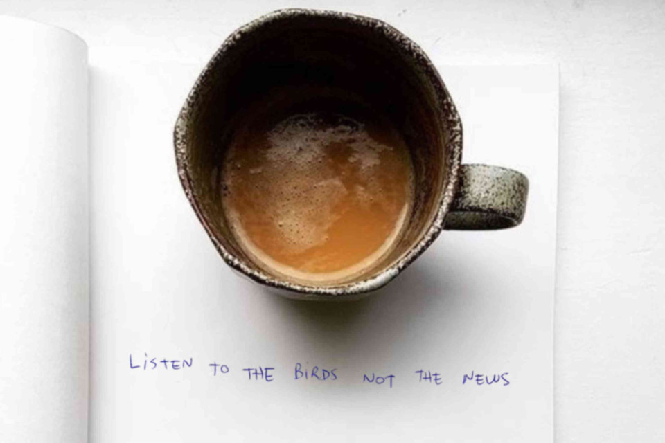 <hr data-start="122" data-end="125">
<h2 data-start="127" data-end="171">Listen to the Birds, Not the News 🐦</h2>
<p data-start="173" data-end="382">Sometimes the world feels overwhelming. Take a step back, breathe and let nature guide you. Listen to the birds singing, feel the wind on your skin and enjoy the simple moments that bring calm to your day.</p>
<p data-start="384" data-end="527">💡 <strong data-start="387" data-end="404">Wellness tip:</strong> Start your morning with a few minutes outside &mdash; no screens, just nature. You&rsquo;ll be surprised how much clarity it brings.</p>
<p data-start="529" data-end="609">#MindfulLiving #NatureHealing #SlowLiving #LesCouleursDuMonde #PeacefulMoments</p>