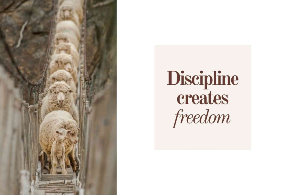 <p data-start="405" data-end="653">🐑✨ <strong data-start="409" data-end="439">Discipline Creates Freedom&nbsp;</strong><br data-start="439" data-end="442">Just like these sheep crossing the bridge one by one, small, consistent steps lead to big results. Stay focused, trust the process and let discipline guide you &ndash; it opens the way to freedom and confidence. 🌿</p>
<p data-start="655" data-end="750">Take a moment today to tackle one small task with intention &ndash; freedom starts with discipline.</p>
<p data-start="752" data-end="871">#MindAndBody #DisciplineCreatesFreedom #FocusAndFlow #DailyHabits #SmallStepsBigImpact #MindfulLiving #InspiredAction</p>