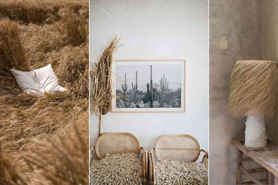 <p data-start="213" data-end="421">📸 <strong data-start="216" data-end="242">Minimalist Photography&nbsp;</strong><br data-start="242" data-end="245">Neutrals and natural textures create calm, balanced compositions. Play with light, shadows and simple lines to capture serene, timeless images that feel warm and inviting. ✨</p>
<p data-start="423" data-end="533">Tip: Less really is more &ndash; focus on shapes, textures and negative space to make each shot feel intentional.</p>
<p data-start="535" data-end="661">#LesCouleursDuMonde #MinimalistPhotography #NaturalTextures #NeutralPalette #BohoStyle #PhotoInspo #SereneShots #GlobalStyle</p>