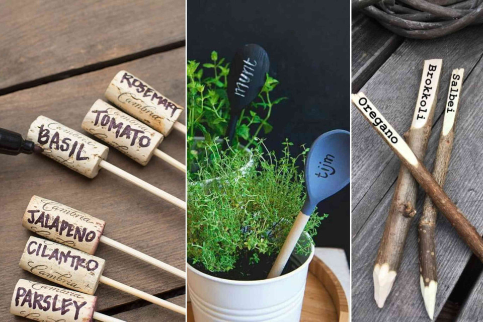 <p data-start="102" data-end="379">🌿 <strong data-start="105" data-end="124">Name Your Herbs&nbsp;</strong><br data-start="124" data-end="127">Give your herbs a little personality! Use a wooden spoon labeled &ldquo;Mint,&rdquo; a skewer with a cork for &ldquo;Rosemary&rdquo; or a small wooden stick with the herb&rsquo;s name written on it. It&rsquo;s a simple way to stay organized and add charm to your kitchen or garden. 🧵✨</p>
<p data-start="381" data-end="488">Tip: Keep your herbs fresh longer by storing them in small jars with water, just like a mini bouquet, so they stay vibrant and flavorful.</p>
<p data-start="490" data-end="601">#LesCouleursDuMonde #KitchenInspo #HerbGarden #BohoStyle #RusticDecor #OrganizedAndCute #DIYTips #GlobalStyle</p>