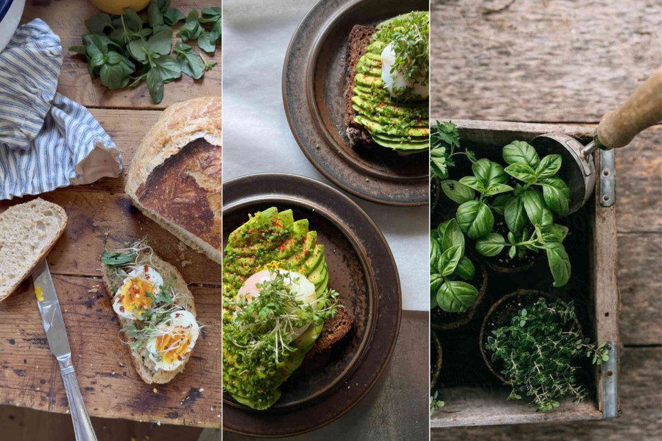 <p data-start="96" data-end="259">🥑 <strong data-start="99" data-end="119">Simple &amp; Healthy&nbsp;</strong><br data-start="119" data-end="122">Egg with avocado and fresh herbs &ndash; quick to make, full of flavor and packed with nutrients. A perfect go-to for any meal of the day. ✨</p>
<p data-start="261" data-end="351">Tip: Add a squeeze of lemon or a sprinkle of chili flakes for extra freshness and taste.</p>
<p data-start="353" data-end="466">#LesCouleursDuMonde #HealthyEats #SimpleFood #AvocadoLovers #FreshAndTasty #BohoFood #EatTheColors #GlobalStyle</p>