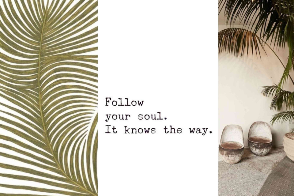 <p data-start="117" data-end="161">✨ <strong data-start="119" data-end="157">Follow Your Soul, It Knows the Way</strong> ✨&nbsp;</p>
<p data-start="163" data-end="303">Sometimes the best guidance comes from within. Pause, listen and trust your inner voice&mdash;it always leads you toward what feels right. 🌿💛</p>
<p data-start="305" data-end="351">Are you listening to your soul today?</p>
<p data-start="353" data-end="447">#FollowYourSoul #TrustYourself #LesCouleursDuMonde #MindfulLiving #InnerGuidance</p>