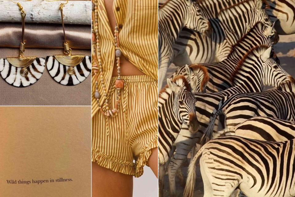 <p data-start="104" data-end="131">⚡ Walk on the wild side ⚡</p>
<p data-start="133" data-end="332">Zebra stripes are back &ndash; bold, timeless and just the right touch of playful chic. 🖤🤍<br data-start="220" data-end="223">Whether it&rsquo;s a statement bag, a pair of shoes or that perfect dress, stripes add instant edge to any look.</p>
<p data-start="334" data-end="378">Dare to stand out. Dare to wear zebra. 🦓✨</p>
<p data-start="380" data-end="452">#ZebraStyle #PrintPower #FashionInspo #WildAndChic #LesCouleursDuMonde</p>