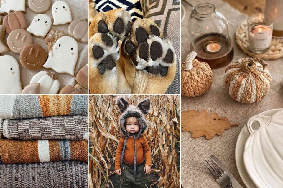 <p>🧡&nbsp;<strong>Little Autumn Adventures&nbsp;</strong>&nbsp;Fallen leaves, cozy knits and cookie crumbs on tiny hands &mdash;autumn is made for little explorers. 🍂 It&rsquo;s the season of soft textures, outdoor play and cozy cuddles after a day in the woods.The magic isn&rsquo;t in the big things &mdash; it&rsquo;s in every muddy boot, every giggle, every warm hug. ✨&nbsp;<strong data-start="675" data-end="704">Tip for little moments 🧺</strong>Layer comfort: soft knits, warm socks and wool hats make every adventure feel snug and safe. What&rsquo;s your favorite autumn activity with your little one? 🤎 #PetiteNatureKids #LesCouleurs #pumpkinSeason #LittleExplorers #ChildhoodMagic #AutumnVibes</p>