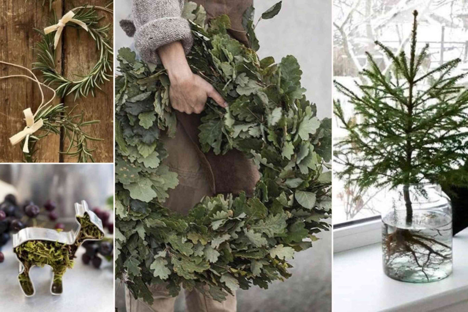 <h3 data-start="379" data-end="405">🌲 A Touch of Nature </h3>
<p data-start="407" data-end="535">Simple greens, handmade wreaths and the scent of pine —<br data-start="463" data-end="466">sometimes the most beautiful decorations come straight from nature.</p>
<p data-start="537" data-end="669">There’s a quiet kind of joy in creating with your hands,<br data-start="593" data-end="596">in bringing the outdoors in and letting simplicity speak for itself. ✨</p>
<p data-start="671" data-end="840"><strong data-start="671" data-end="686">Home tip 🌿</strong><br data-start="686" data-end="689">Gather branches, herbs or leaves from outside and create your own natural wreath or table piece.<br data-start="786" data-end="789">It’s sustainable, timeless and full of heart. 🤎</p>
<p data-start="842" data-end="907">What’s your favorite way to bring nature indoors during winter?</p>
<p data-start="909" data-end="1008">#LesCouleurs #AtelierMaison #PetiteNature #WinterMood #NaturalDecor #SlowLiving #HandmadeWithLove #cozytimes</p>