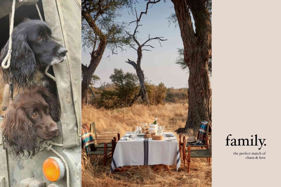 <h3 data-start="288" data-end="341">🐾 <em data-start="295" data-end="339">Family &mdash; <strong>The Perfect Match of Chaos &amp; Love&nbsp;</strong></em></h3>
<p data-start="343" data-end="506">Family &mdash; whether it&rsquo;s people or paws &mdash; is never picture-perfect.&nbsp;<br data-start="407" data-end="410">It&rsquo;s messy, loud, funny and full of small moments that somehow make everything feel complete.&nbsp;</p>
<p data-start="508" data-end="747">For me, family is what keeps things real.&nbsp;<br data-start="549" data-end="552">It reminds me that beauty isn&rsquo;t always in order or design &mdash; sometimes it&rsquo;s in the unplanned, in the way everyone gathers around the table or how the dogs always end up in the middle of it all. From the Editor &mdash; Cindy</p>
<p data-start="749" data-end="808">That mix of chaos and love is what gives a home its soul.</p>