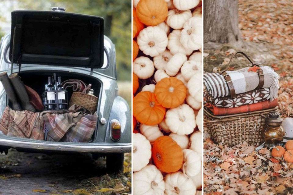 <h3 data-start="322" data-end="362">🍁 <em data-start="329" data-end="360">Autumn Days, Simple Pleasures&nbsp;</em></h3>
<p data-start="364" data-end="569">Some of the best moments just happen.&nbsp;<br data-start="423" data-end="426">A drive through the countryside, a basket of blankets, a good bottle of wine and that golden autumn light that makes everything softer.&nbsp;</p>
<p data-start="571" data-end="740">I love how every season brings its own rhythm.&nbsp;<br data-start="617" data-end="620">Autumn slows things down &mdash; it&rsquo;s about warmth, texture and small rituals that make everyday life feel a little richer.&nbsp;</p>
<p data-start="742" data-end="865">It doesn&rsquo;t take much to create atmosphere &mdash; just mix what you already have, step outside and enjoy the change of season.&nbsp; #autumnvibes From the Editor &mdash; Cindy</p>