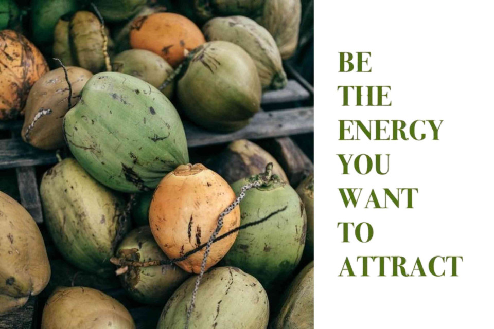 <p data-start="313" data-end="548">&ldquo;Be the energy you want to attract.&rdquo;<br data-start="349" data-end="352"><strong>The balance </strong>&mdash; between nature and elegance, calm and vitality.&nbsp;<br data-start="441" data-end="444">Let the soft tones of green and sand remind you to slow down, breathe deeply and move with intention.&nbsp;</p>
<p data-start="550" data-end="672">Surround yourself with colors and textures that lift your mood and reflect the energy you wish to bring into your world.&nbsp;</p>
<p data-start="674" data-end="751">#RivieraduMonde #PositiveEnergy #NaturalHarmony #MindfulLiving #CoastalCalm</p>