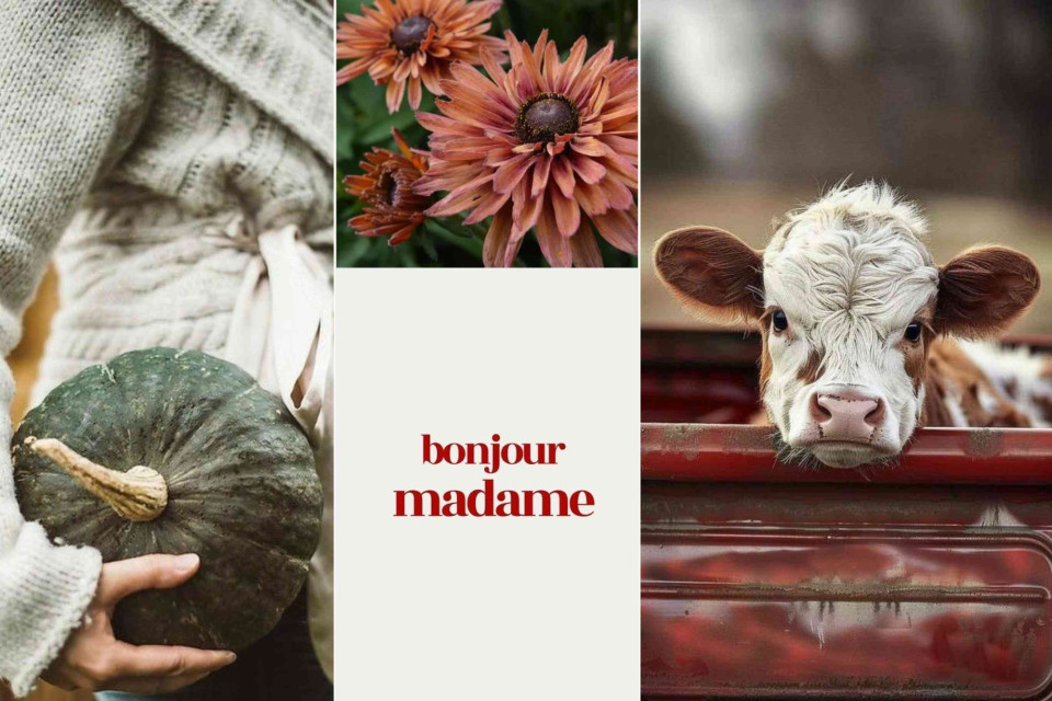 <p data-start="412" data-end="634">Cool air, soft knits, muddy paths &mdash; the beauty of being outside, just as the season turns.&nbsp;<br data-start="502" data-end="505">It&rsquo;s that in-between moment where you pull on a sweater, pick what the garden gives and breathe in the quiet rhythm of autumn.&nbsp;</p>
<p data-start="814" data-end="915">#StepOutside #LesCouleursDuMonde #SeasonalLiving #AutumnMood #SlowDays #CountryCalm #NatureInspires</p>
