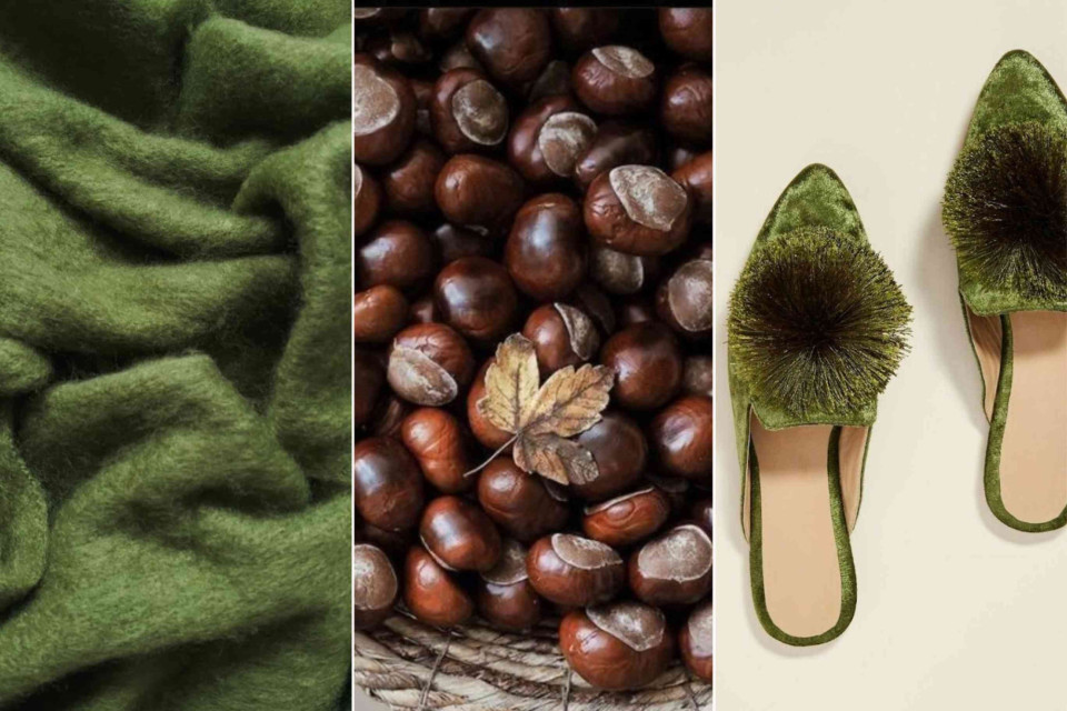 <p data-start="213" data-end="444">Autumn steps into our palette with the depth of <strong data-start="261" data-end="276">mossy green</strong> and the warmth of <strong data-start="295" data-end="318">rich chestnut brown</strong>. 🍃🌰&nbsp;<br data-start="319" data-end="322">A natural harmony &mdash; sophisticated, timeless and full of character &mdash; like a quiet walk beneath the trees after the rain.</p>
<p data-start="446" data-end="574">✨ <strong data-start="448" data-end="472">Today&rsquo;s inspiration:</strong><br data-start="472" data-end="475">Soft textures, deep tones and velvety reflections &mdash; the art of nature in every detail.</p>
<p data-start="576" data-end="707">#LesCouleursduMonde #AutumnPalette #ColorInspiration #VelvetGreen #ChestnutBrown #NaturalElegance #ColorMoodboard #SeasonalDesign</p>