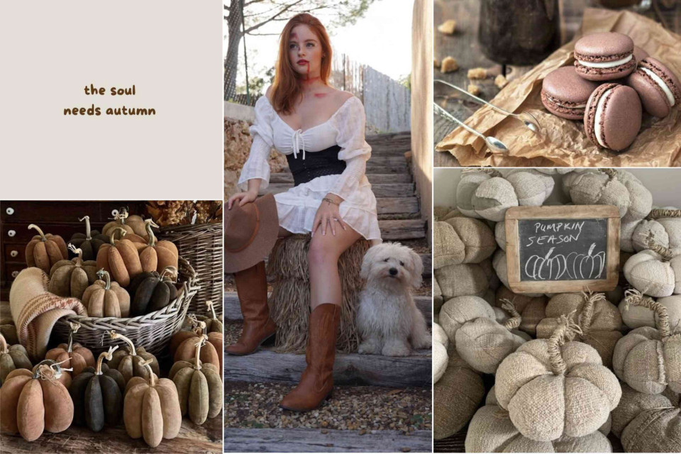 <p data-start="161" data-end="524">🍂 <strong data-start="164" data-end="224">Les Couleurs Sauvages embraces the raw beauty of autumn.</strong><br data-start="224" data-end="227">Earthy pumpkins in soft fabrics, warm brown shades, cosy outdoor moments and simple treats that bring comfort &mdash; this season shows how natural tones and textures can create a calm, grounded feeling. Autumn invites us to return to what feels real: warmth, nature, and the beauty of everyday moments.</p>
<p data-start="161" data-end="524"><strong data-start="487" data-end="503">Inspiration:</strong> try creating a small seasonal corner at home with earthy textures, dried leaves, neutral fabrics or handmade pieces. It&rsquo;s an easy way to add a touch of autumn without overstyling.</p>
<p data-start="526" data-end="642" data-is-last-node="" data-is-only-node="">#LesCouleursSauvages #BeauteDuMonde #AutumnMood #PumpkinSeason #EarthTones #WildAndWarm #SeasonalColours #Nature</p>