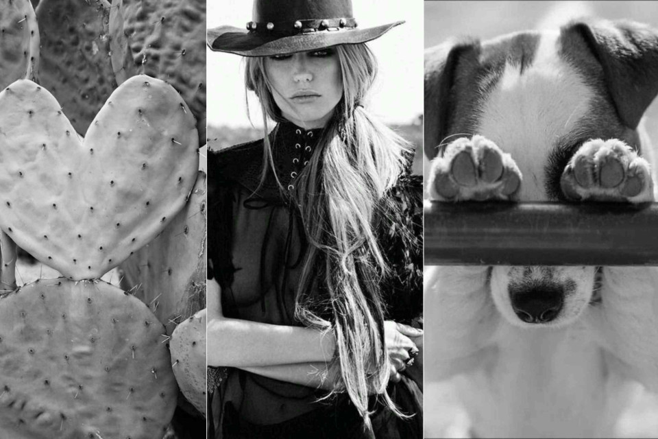 <p data-start="276" data-end="567"><strong data-start="278" data-end="422">A reminder that the wild is everywhere&nbsp;</strong><br data-start="422" data-end="425">A heart-shaped cactus, a woman standing strong under the sun, a pup peeking at the world&hellip; small moments that celebrate freedom and raw beauty.&nbsp;</p>
<p data-start="569" data-end="760">It&rsquo;s the spirit of stepping beyond the usual: embracing texture, contrast, sunlight, dust, laughter.&nbsp;<br data-start="669" data-end="672">Let the world surprise you. Let it soften you. Let it roughen you in all the right ways.&nbsp;</p>
<p data-start="762" data-end="828">✨ <strong data-start="764" data-end="828">The story begins where the comfort zone ends.&nbsp;</strong></p>
<p data-start="830" data-end="910">#StepOutside #WildHeart #OutdoorSpirit #FreeSoul #NatureStories #MonochromeMagic</p>