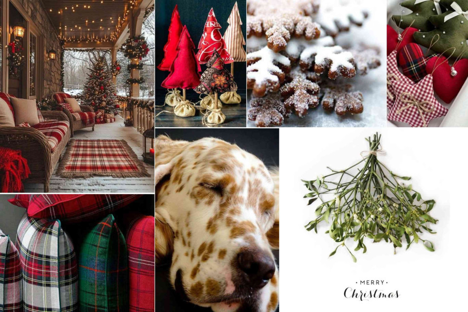 <p><strong data-start="173" data-end="360">The warmth of classic Christmas comfort&nbsp;&nbsp;</strong>Plaid pillows, stitched ornaments, frosted cookies and a cosy porch wrapped in lights&hellip; it&rsquo;s the kind of holiday atmosphere that instantly feels like home.&nbsp; This style celebrates tradition in a fresh way:mixing iconic tartans with natural greenery, adding small handcrafted pieces, and creating corners where everyone wants to gather. Even a sleeping dog becomes part of the warm, lived-in charm.&nbsp; ✨&nbsp;<strong data-start="765" data-end="781">Inspiration:</strong>Choose one classic element to bring into your d&eacute;cor this week &mdash; a tartan blanket, a simple sprig of mistletoe, or a handmade fabric ornament. Little touches can shift the whole mood of your home.&nbsp; #LesCouleursDuMonde #HolidayHome #SeasonalStyle #WarmInteriors #ClassicChristmas #CozyDetails</p>