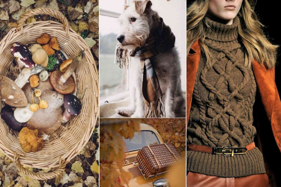 <p data-start="0" data-end="83"><strong>Simple togetherness.&nbsp;</strong></p>
<p data-start="85" data-end="298">A walk through fallen leaves with your dog. A warm knit pulled on before heading out. A basket filled along the way then brought back home. These are the moments that create real coziness.&nbsp;</p>
<p data-start="300" data-end="472">Being outside can be familiar, close and comforting. Fresh air, natural textures and small rituals that make you feel grounded and calm.&nbsp;</p>
<p data-start="474" data-end="676">✨ <strong data-start="476" data-end="495">Starting point:</strong> plan a simple outdoor moment this weekend. A short walk, a nearby forest, a quiet street. Come back inside with cold cheeks, warm hands and that feeling of having truly been there.&nbsp;</p>
<p data-start="678" data-end="749" data-is-last-node="" data-is-only-node="">#StepOutside #EverydayCoziness #SimpleMoments #SlowLiving #SeasonalMood</p>