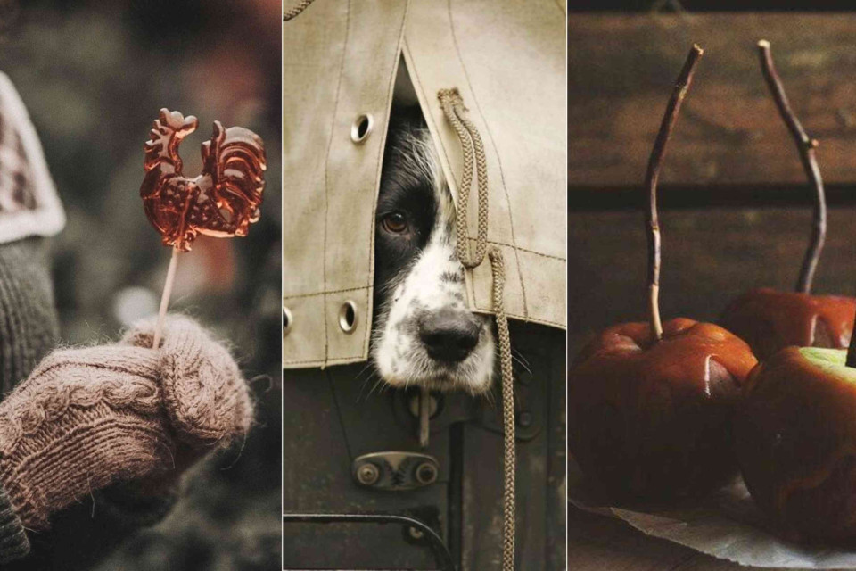 <p data-start="0" data-end="16"><strong data-start="0" data-end="16">Step outside&nbsp;</strong></p>
<p data-start="18" data-end="318">Step outside does not always mean going far away. Sometimes it is simply choosing to look differently at what is already there. Noticing small details that usually pass unnoticed. Paying attention to moments that are not planned but still meaningful. Outside routine there is space for perspective.&nbsp;</p>
<p data-start="320" data-end="500">By stepping just slightly aside you allow more nuance more colour and more stories to appear.</p>
<p data-start="502" data-end="584" data-is-last-node="" data-is-only-node="">#stepoutside #lescouleursdumonde #perspective #observation #details #everydayworld</p>