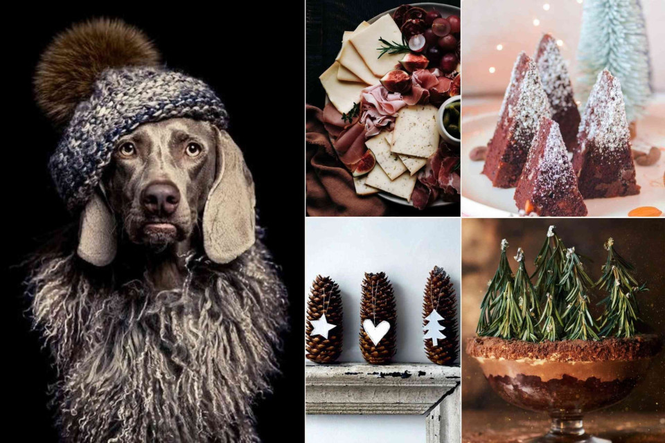 <p data-start="0" data-end="46"><strong data-start="0" data-end="46">An easy winter table</strong></p>
<p data-start="48" data-end="313">Cold days ask for food that feels generous. A mixed board with a few good cheeses cured ham grapes and nuts is enough to get everyone around the table. Add one simple dessert like chocolate cake or a no-bake layered treat and you are done.</p>
<p data-start="315" data-end="436">Tip: keep the colours warm and natural. Browns creams deep reds and greens make the table look rich without extra effort.</p>
<p data-start="438" data-end="527">#WinterTable #EasyEntertaining #ComfortFood #CosyMoments #TableInspiration #WinterHosting</p>