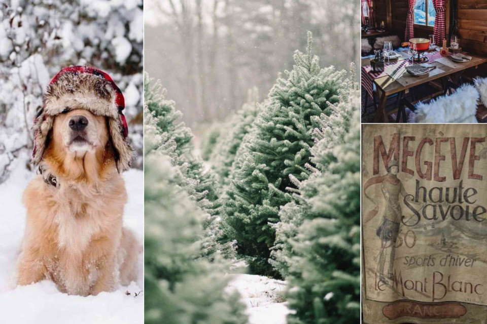 <p data-start="0" data-end="33"><strong data-start="0" data-end="33">Winter comfort the Alpine way</strong></p>
<p data-start="35" data-end="271">Winter days invite a slower rhythm. Fresh air a simple meal and a warm place to come back to make all the difference. Alpine living is balance: being outside when it is cold and coming home to warmth texture and familiar flavours.</p>
<p data-start="273" data-end="486">A simple idea for the season: combine both. Go for a short walk or bring a bit of the outdoors inside with greenery wood and soft textiles. Keep the table uncomplicated and focus on comfort rather than perfection.</p>
<p data-start="488" data-end="532">That is how winter feels easy and welcoming.</p>
<p data-start="534" data-end="602">#WinterLiving #AlpineMood #SeasonalComfort #SlowWinter #cozyinterior #HomeInWinter</p>