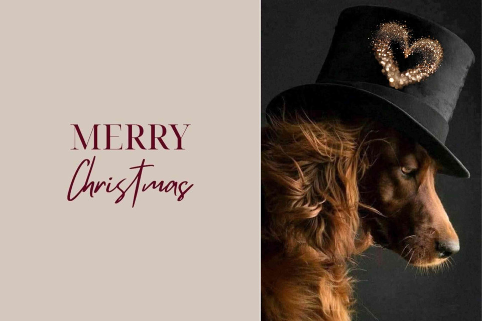 <div class="text-base my-auto mx-auto pb-10 [--thread-content-margin:--spacing(4)] @w-sm/main:[--thread-content-margin:--spacing(6)] @w-lg/main:[--thread-content-margin:--spacing(16)] px-(--thread-content-margin)">
<div class="[--thread-content-max-width:40rem] @w-lg/main:[--thread-content-max-width:48rem] mx-auto max-w-(--thread-content-max-width) flex-1 group/turn-messages focus-visible:outline-hidden relative flex w-full min-w-0 flex-col agent-turn" tabindex="-1">
<div class="flex max-w-full flex-col grow">
<div class="min-h-8 text-message relative flex w-full flex-col items-end gap-2 text-start break-words whitespace-normal [.text-message+&amp;]:mt-1" dir="auto" data-message-author-role="assistant" data-message-id="da3534e6-5764-44b4-be60-748cbc49bb69" data-message-model-slug="gpt-5-2">
<div class="flex w-full flex-col gap-1 empty:hidden first:pt-[1px]">
<div class="markdown prose dark:prose-invert w-full break-words light markdown-new-styling">
<p data-start="0" data-end="19"><strong data-start="0" data-end="19">Merry Christmas&nbsp;</strong></p>
<p data-start="21" data-end="235">Sometimes a single image says enough. A quiet smile. A touch of humour. A little sparkle without trying too hard. Christmas can be simple warm and slightly unexpected.</p>
<p data-start="237" data-end="328">Wishing you a season filled with small joys calm moments and creativity in its purest form.</p>
<p data-start="330" data-end="346">Merry Christmas.</p>
<div class="flex flex-col text-sm pb-25">
<article class="text-token-text-primary w-full focus:outline-none [--shadow-height:45px] has-data-writing-block:pointer-events-none has-data-writing-block:-mt-(--shadow-height) has-data-writing-block:pt-(--shadow-height) [&amp;:has([data-writing-block])>*]:pointer-events-auto scroll-mt-[calc(var(--header-height)+min(200px,max(70px,20svh)))]" dir="auto" tabindex="-1" data-turn-id="request-692c6ef1-3e2c-8326-a4ac-fd39adcca5aa-66" data-testid="conversation-turn-256" data-scroll-anchor="true" data-turn="assistant">
<div class="text-base my-auto mx-auto pb-10 [--thread-content-margin:--spacing(4)] @w-sm/main:[--thread-content-margin:--spacing(6)] @w-lg/main:[--thread-content-margin:--spacing(16)] px-(--thread-content-margin)">
<div class="[--thread-content-max-width:40rem] @w-lg/main:[--thread-content-max-width:48rem] mx-auto max-w-(--thread-content-max-width) flex-1 group/turn-messages focus-visible:outline-hidden relative flex w-full min-w-0 flex-col agent-turn" tabindex="-1">
<div class="flex max-w-full flex-col grow">
<div class="min-h-8 text-message relative flex w-full flex-col items-end gap-2 text-start break-words whitespace-normal [.text-message+&amp;]:mt-1" dir="auto" data-message-author-role="assistant" data-message-id="da3534e6-5764-44b4-be60-748cbc49bb69" data-message-model-slug="gpt-5-2">
<div class="flex w-full flex-col gap-1 empty:hidden first:pt-[1px]">
<div class="markdown prose dark:prose-invert w-full break-words light markdown-new-styling">
<p data-start="348" data-end="470" data-is-last-node="" data-is-only-node="">#MerryChristmas #ArtfulspecialMoments #CreativeSeason #QuietJoy #HolidayMood</p>
</div>
</div>
</div>
</div>
<div class="z-0 flex min-h-[46px] justify-start">&nbsp;</div>
<div class="mt-3 w-full empty:hidden">
<div class="text-center">&nbsp;</div>
</div>
</div>
</div>
</article>
</div>
<div class="pointer-events-none h-px w-px absolute bottom-0" aria-hidden="true" data-edge="true">&nbsp;</div>
</div>
</div>
</div>
</div>
</div>
</div>