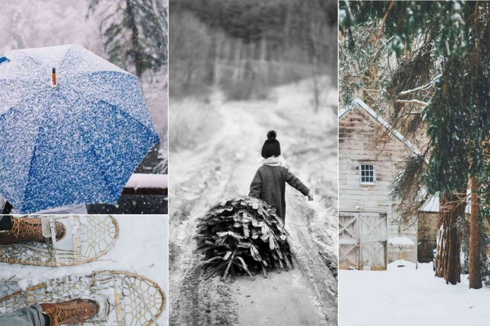 <p data-start="0" data-end="20"><strong>Winter traditions often start outside</strong>.&nbsp;</p>
<p data-start="22" data-end="308">This is the season before celebration.<br>Snow falling softly, hands busy and the day unfolding outdoors. Carrying branches, dragging a tree home and moving slowly through a landscape that asks for patience. No noise, just breath in the cold air and simple work done step by step.</p>
<p data-start="310" data-end="547">Gathering, preparing, walking back home while the light fades. These moments are practical and poetic at the same time. They ground us, connect us to the season and make what comes next feel earned.</p>
<p data-start="549" data-end="611">Let winter be hands on. Let preparation be part of the beauty.</p>
<p data-start="613" data-end="701" data-is-last-node="" data-is-only-node="">#WinterRituals #SeasonalLiving #SlowMoments #OutdoorTraditions #WinterDays #SimpleLiving</p>