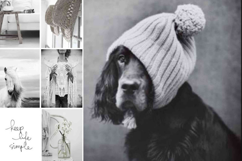 <p data-start="117" data-end="134"><strong>Keep life simple&nbsp;</strong></p>
<p data-start="136" data-end="410">The things that feel right, the rituals that fit your days and the people who make moments lighter. Winter slows everything down and invites clarity. Less noise, more meaning. Simple choices, lived fully.</p>
<p data-start="412" data-end="488">#KeepLifeSimple #WinterPerspective #SeasonalLiving #MindfulMoments #QuietJoy</p>