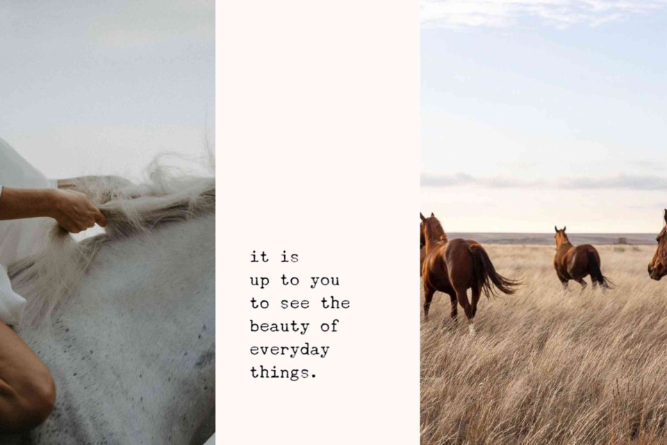 <p data-start="0" data-end="181"><strong data-start="353" data-end="398">Small details change the way a day feels.&nbsp;</strong></p>
<p data-start="0" data-end="181">Everyday beauty is not rare. It is often overlooked. A texture. A movement. Light on a surface. Moments like these are not extraordinary, but they shape how we experience the world.</p>
<p data-start="183" data-end="351">Style and design work the same way. They do not start with big statements, but with attention. What you choose to notice becomes what defines your space and your story.</p>
<p data-start="402" data-end="484" data-is-last-node="" data-is-only-node="">#LesCouleursDuMonde #EverydayBeauty #SeeDifferently #InspiredLiving #DetailsMatter</p>