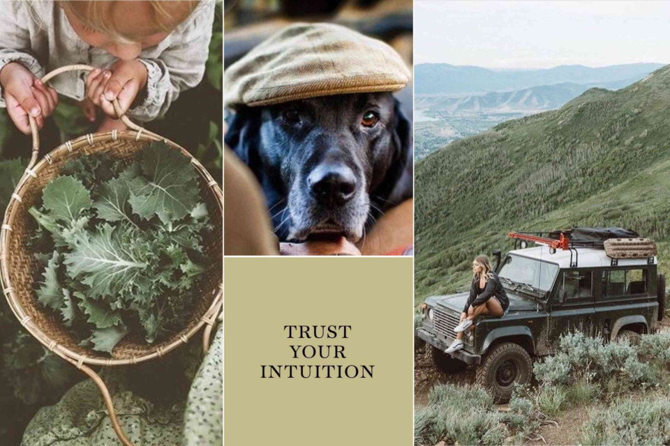 <p><strong>Not every day needs to be big to matter.</strong> We focus on what is real and close to us. Nature routine work and quiet moments all shape how we live. When you slow down you see what is already there. Good design and a good life both start with attention. Choose what feels right and build from there.</p><p>Tip take five minutes today to step outside without your phone and notice one detail you usually miss.</p><p>#StepOutside #EverydayLiving #Countryside #SimpleLife #DetailsMatter</p>