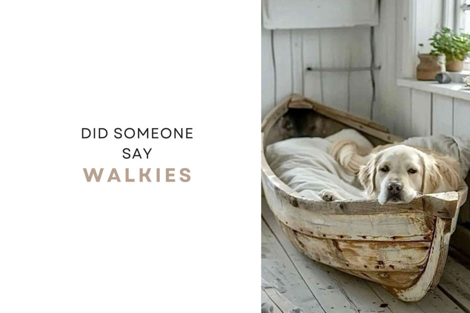 <p><strong>Did someone say walkies</strong></p><p>Slow mornings soft light and a space that feels calm and natural. A simple interior with wood neutral tones and honest materials creates room to breathe. A loyal dog and you have everything you need.</p><p>Tip keep your space light and uncluttered by choosing a few natural materials and sticking to a soft color palette.</p><p>#CoastalInterior #NaturalLiving #CalmHome #SimpleStyle #DogLife</p>