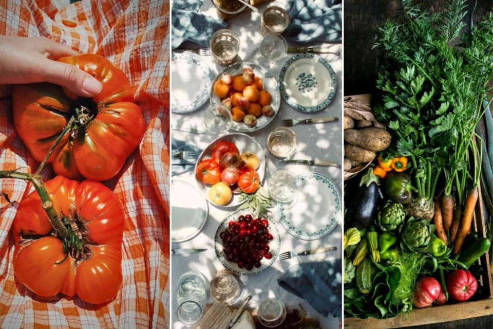 <p>Want to organize a picnic that feels authentic and well thought out. Start at the market. <strong>Seasonal vegetables and fruit </strong>automatically give direction to your menu and styling.&nbsp;</p><p>Choose ripe tomatoes as your base ingredient. Add simple dishes that highlight their flavor such as a tomato salad with olive oil sea salt and fresh herbs. Complement with cherries stone fruit or other produce that is truly in season. Keep the table setting light and natural with white plates clear glasses and linen napkins.&nbsp;</p><p>Practical tip: Ask your local vendor what is at its peak that week. Produce harvested at the right moment has more flavor and needs less preparation. When ingredients are good you do not need complicated recipes.</p><p>Cooking and styling with seasonal products creates a stronger connection between food place and moment. It is fresher more sustainable and more affordable.</p><p><strong>Let the market decide your menu.&nbsp;</strong></p><p>#LesCouleursDuMonde #SeasonalLiving #MarketStyle #PicnicInspiration #EatInSeason</p>