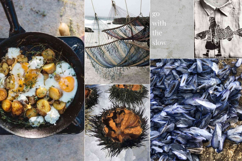 <p><strong data-start="29" data-end="73">Cooking with the catch of the day&nbsp;</strong></p><p>Want to plan a dinner that feels authentic and intentional. Start with what is fresh that day. Fish mussels or sea urchins bought directly from a local market automatically define your menu.</p><p>Keep the preparation simple. Roast small potatoes in olive oil and add soft eggs or fresh herbs. Steam mussels with white wine and garlic. If you find sea urchins serve them raw with a squeeze of lemon. When the product is fresh you do not need heavy sauces.</p><p><strong>Practical tip</strong>: Ask your fishmonger what arrived that morning and how they would prepare it at home. This gives you both quality and a clear direction for your meal.</p><p>Cooking based on availability instead of a fixed recipe leads to better flavor and less waste. It also connects you more directly to season and place.</p><p>Let the catch of the day decide your table.</p><p>#LesCouleursDuMonde #SeasonalCooking #FreshSeafood #MarketToTable #SimpleFood</p>