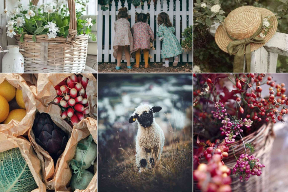 <p><strong>Growing up close to nature&nbsp;</strong></p><p>It begins at a garden fence, in fields where lambs mark the arrival of spring and in kitchens where radishes, cabbage and lemons are prepared straight from the market. Childhood unfolds outdoors, shaped by seasons rather than schedules. Curiosity is encouraged. Patience is learned. Resilience grows quietly.</p><p>In a world that moves fast, this kind of upbringing feels almost radical. Yet it offers something lasting: a deep sense of place, an understanding of cycles and a connection to what truly sustains us.</p><p>To grow up close to nature is to grow up grounded.</p><p>#CountrysideLiving #SeasonalLife #RootedInNature #ModernRural</p>