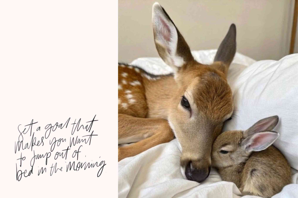 <p class="isSelectedEnd">We often wait for the &ldquo;right moment&rdquo; to start something new. More time, more confidence, more clarity. But most of the time, those things come after you begin, not before.</p>
<p class="isSelectedEnd">A meaningful goal is not always the biggest one. It is the one you are willing to return to, even on days when motivation is low. It fits into your real life, not an ideal version of it.</p>
<p class="isSelectedEnd">Instead of trying to change everything at once, focus on what you can actually sustain. <strong>One habit. One step. One decision you repeat.</strong></p>
<p class="isSelectedEnd">Growth is less about intensity and more about consistency. About showing up when it is easy, and especially when it is not.</p>
<p class="isSelectedEnd">You do not need a perfect plan to start. You just need a reason that feels strong enough to keep going.</p>
<p>#NewBeginnings #SpringAwakening #IntentionalLiving #SoftStrength #Growth</p>