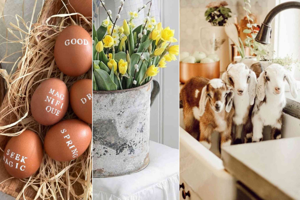 <p><strong data-start="0" data-end="37">Seasonal details that make a home</strong></p><p>This setting brings together simple spring elements that create warmth and character. Natural eggs with handwritten words add a personal touch to the table. Fresh yellow flowers in a vintage metal pot introduce color and energy. Soft neutral tones in the kitchen keep the atmosphere calm and inviting.</p><p>Seasonal styling does not require excess. A few thoughtful details natural materials and fresh flowers are enough to shift the mood of a space. By choosing reusable decor and working with what is already available the result feels authentic and intentional.</p><p>It is about celebrating the season in a practical way while keeping the aesthetic clean and timeless.</p><p>#springdecor #seasonalstyling #naturalhome #simpleliving #easterinspiration #consciousinterior</p>