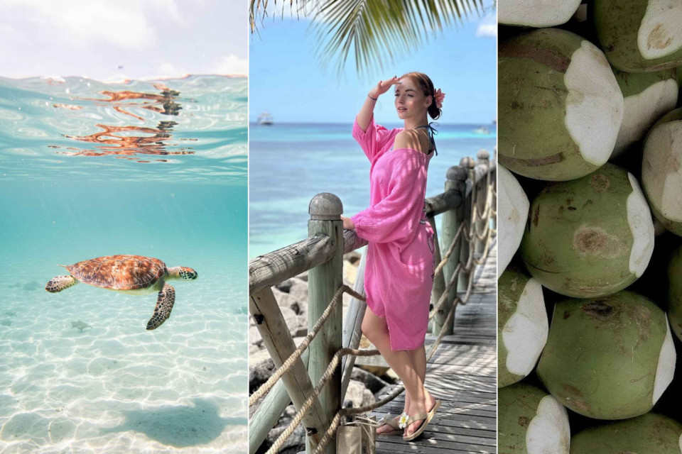 <p class="PDq2pG_selectionAnchorContainer" data-start="331" data-end="496"><strong data-start="331" data-end="496">The Seychelles may look like a classic tropical escape, but there is considerably more variety between the islands than the photographs of white beaches suggest.</strong></p>
<p data-start="498" data-end="781">Mah&eacute; is the largest island and the main arrival point, combining beaches with mountainous interiors, local markets and the small capital of <strong data-start="638" data-end="650">Victoria</strong>. Praslin has a quieter character and is home to the <strong data-start="703" data-end="720">Vall&eacute;e de Mai</strong>, where the distinctive <strong data-start="744" data-end="759">coco de mer</strong> palm grows naturally.</p>
<p data-start="783" data-end="949">La Digue changes the pace again. Bicycles are a common way to get around and huge granite formations create some of the Seychelles' most recognisable coastal scenery.</p>
<p data-start="951" data-end="1172">The surrounding Indian Ocean is just as important. Snorkelling and boat trips reveal coral, tropical fish and sea turtles, while conservation projects across the archipelago protect habitats both on land and in the water.</p>
<p data-start="1174" data-end="1305">With more than one island worth exploring, choosing the right location for your stay can make a significant difference to the trip.</p>
<p data-start="1307" data-end="1387">&rarr; <strong data-start="1309" data-end="1347">Planning a stay in the Seychelles?</strong><br data-start="1347" data-end="1350"><a href="https://travel.lescouleursdumonde.com/hotels?placeId=ChIJO62-cP0hXCIR99pJ06DQ0zI&amp;name=Seychelles">Find stays in the Seychelles with Les Couleurs du Monde Travel.</a></p>
<p data-start="1389" data-end="1499">#Seychelles #IndianOcean #IslandTravel #Mahe #Praslin #LaDigue #TravelAndEscapes #TravelWithLesCouleursDuMonde</p>