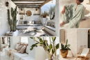 <p class="" data-start="91" data-end="326"><strong data-start="94" data-end="141">Ibiza vibes, pure and simple&nbsp;</strong><br data-start="141" data-end="144">Escape where every texture whispers &lsquo;slow down.&rsquo;<br data-start="201" data-end="204">Whitewashed walls, woven shades, cactus-lined corners and linen create a space that feels like summer on repeat.</p>
<p class="" data-start="328" data-end="551">It&rsquo;s barefoot living under open skies, soft mornings in oversized cotton and afternoons spent where shadows dance and silence soothes. 🌿</p>
<p class="" data-start="328" data-end="551"><br data-start="466" data-end="469">#MarYTierra #BohoLiving #IbizaVibes #SlowInteriors #OrganicStyle #BarefootLuxury #CactusCorner #SunwashedSpaces&nbsp;</p>